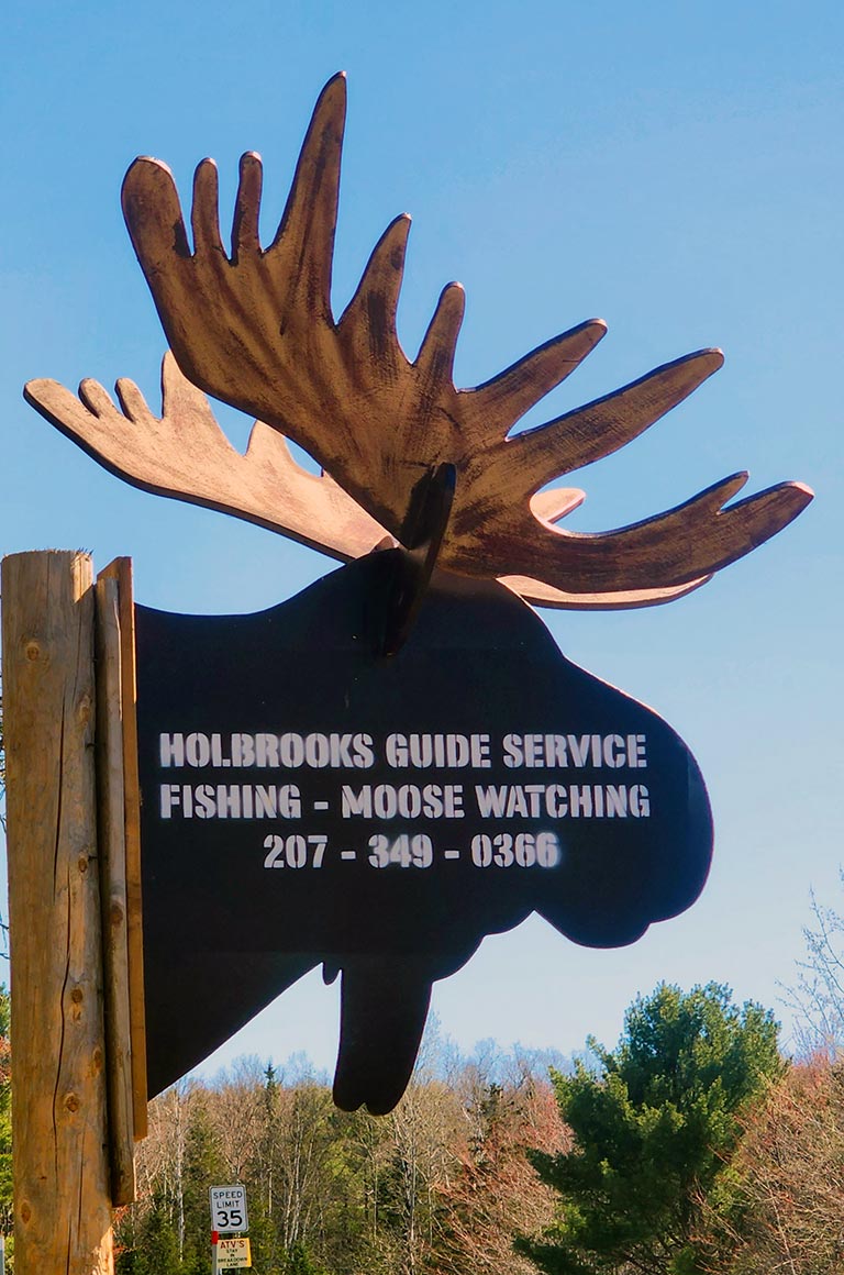 Holbrooks Guide Service