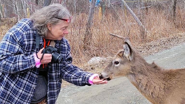 Deer